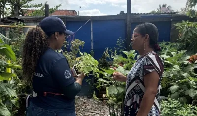 El abono será usado para que las plantas crezcan sanas. 