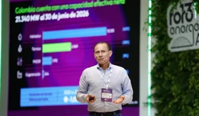 Alejandro Castañeda, presidente Ejecutivo de Andeg.