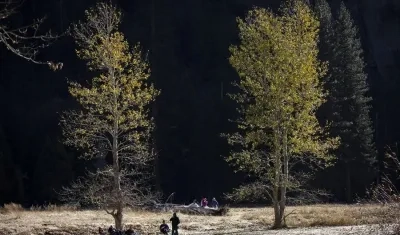 La norma no prevé aplicarse a los bosques nacionales de Colorado e Idaho.