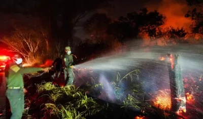 Incendios forestales en el departamento del Tolima. 