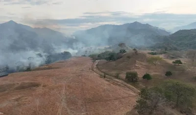 Imagen de uno de los incendios.