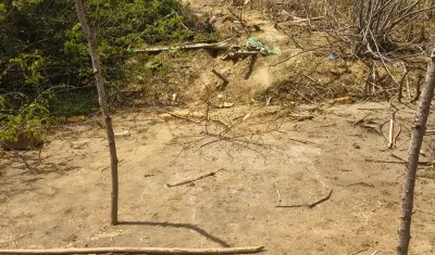 Sector donde fueron encontrados los restos óseos. 