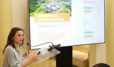 La presidenta de Naturgas, Luz Stella Murgas.