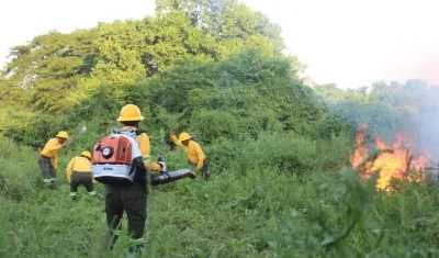 Organismos de socorro atienden emergencia por incendio forestal. 