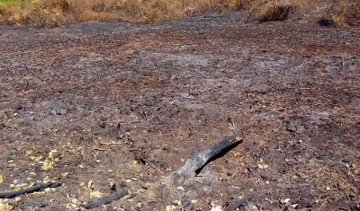 El fenómeno de El Niño incrementa los riesgos de incendios forestales. 
