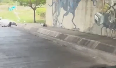Los cuerpos fueron encontrados del 'Puente de La Virgencita'. 