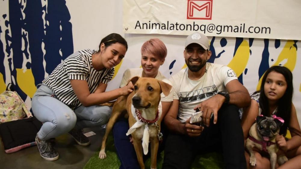  Familias adoptaron sus mascotas en la feria.