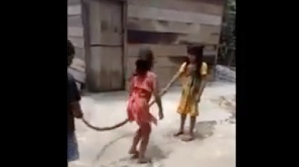 Niños jugando con el cuerpo sin vida de la serpiente.