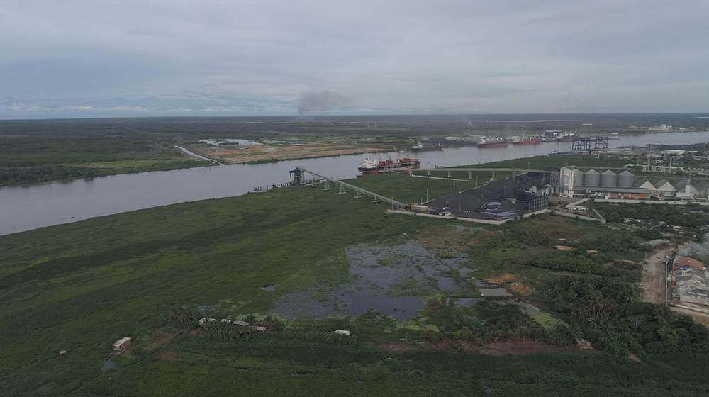 Imágenes aéreas de la ‘amenaza verde’