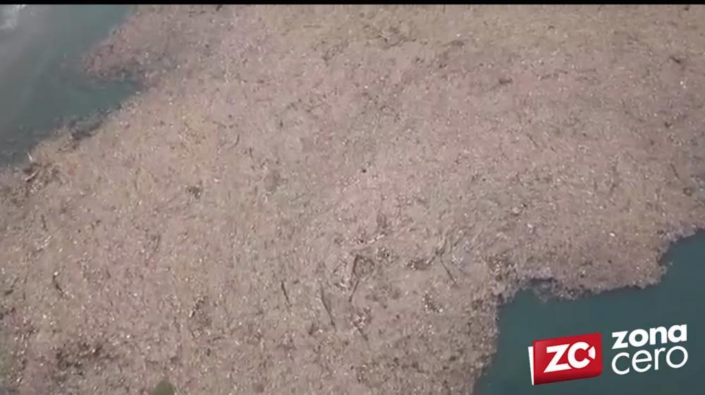 Vista aérea de la basura que llegó al Mar Caribe en Puerto Colombia