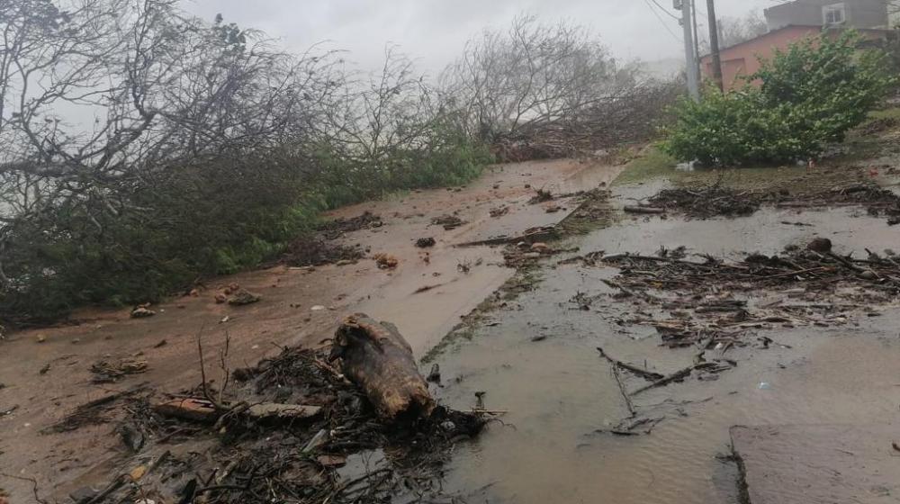 La destrucción que dejó el huracán Iota.