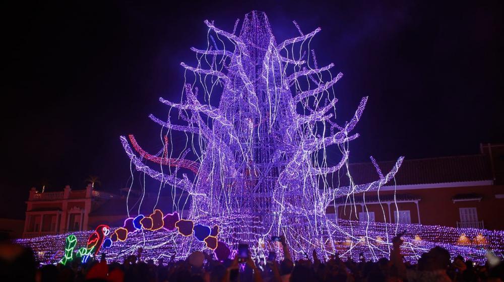 El árbol de Navidad más grande de Cartagena fue encendido este viernes.
