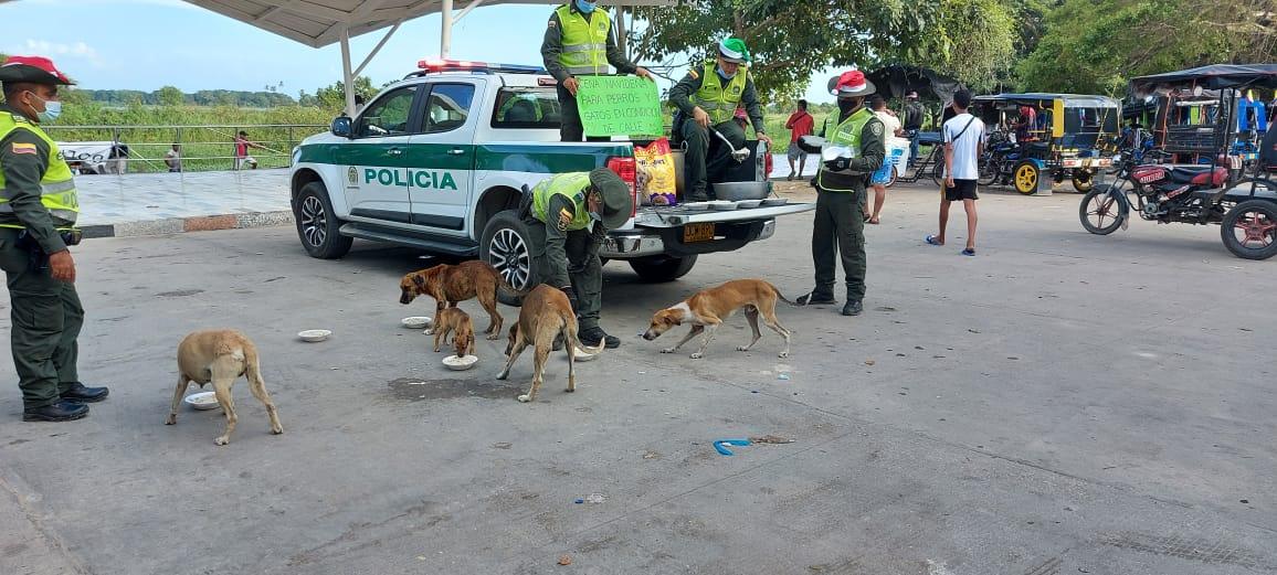 Cena navideña para perros de calle en Sabanagrande y Santo Tomás