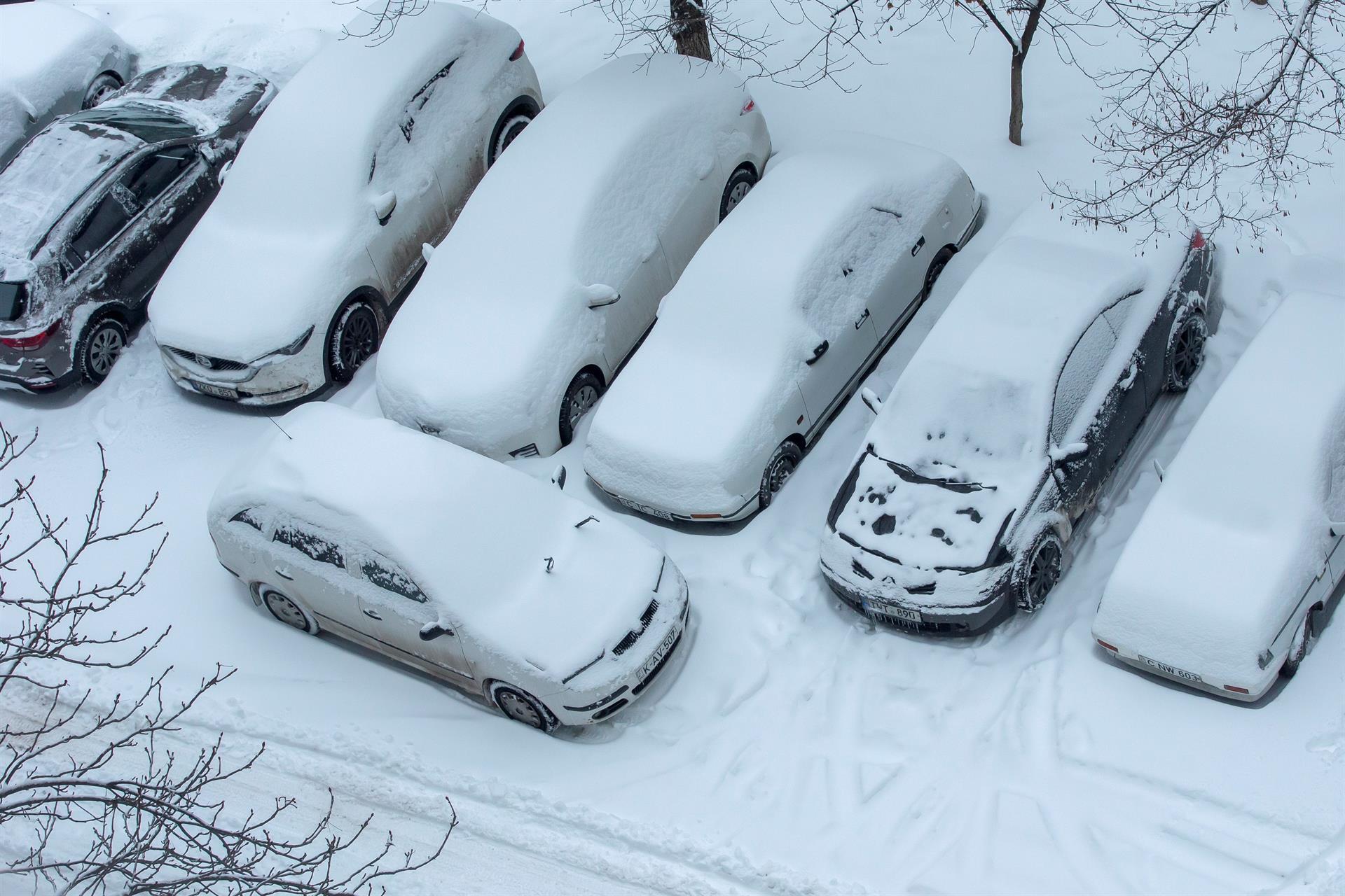 Vehículos cubiertos de nieve. 