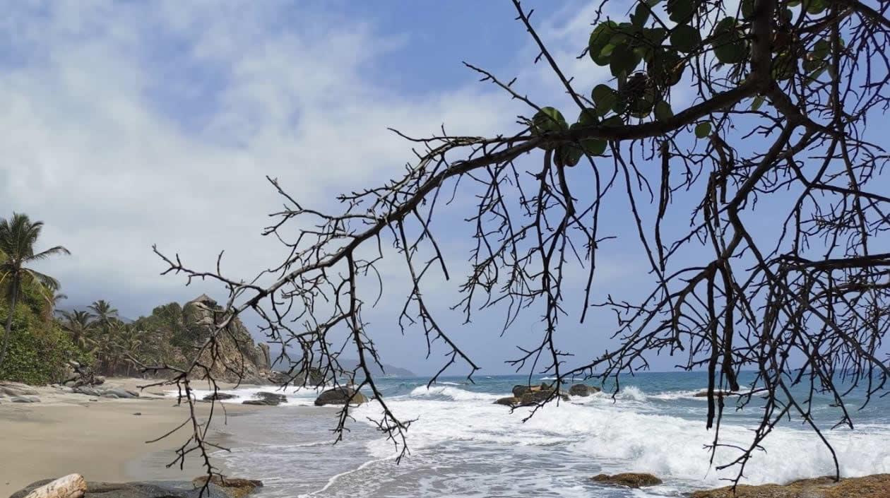 Hermosa vista del Parque Tayrona