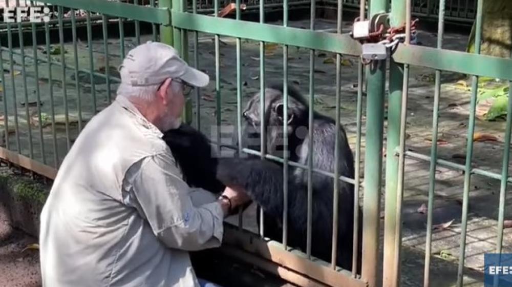 El veterinario Eduardo Sacasa se despide de 'Pipo'.