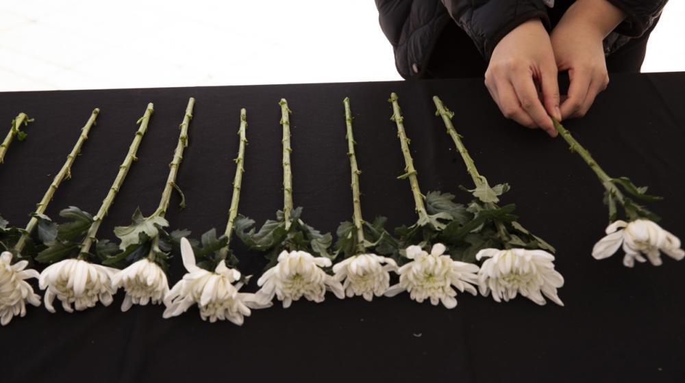 Mujer deja flores en el memorial a las victimas.