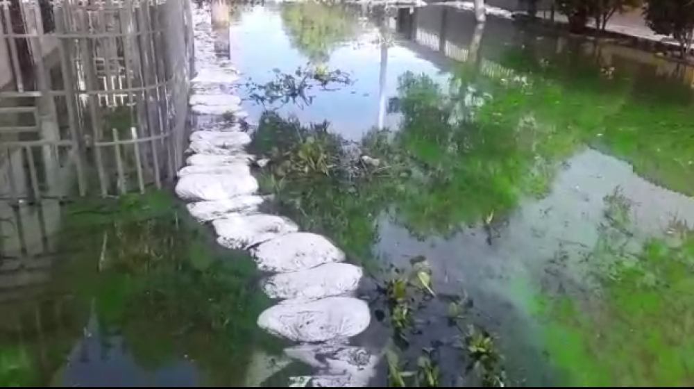 Corregimiento La Peña
