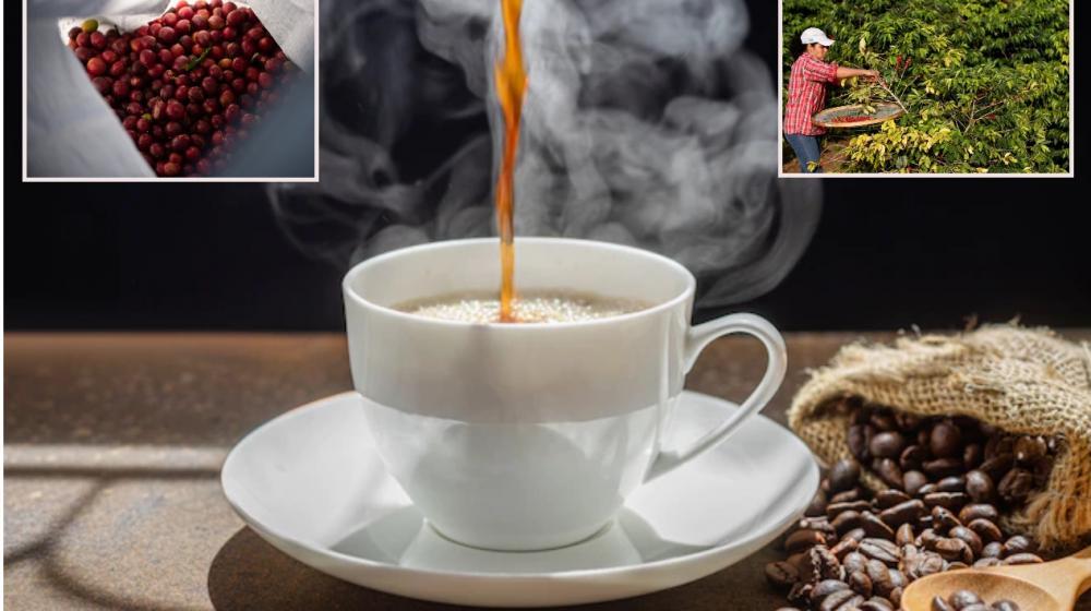 Varios factores tienen el precio del café elevado entre ellos la inflación que trajo consigo la reactivación económica tras la pandemia.