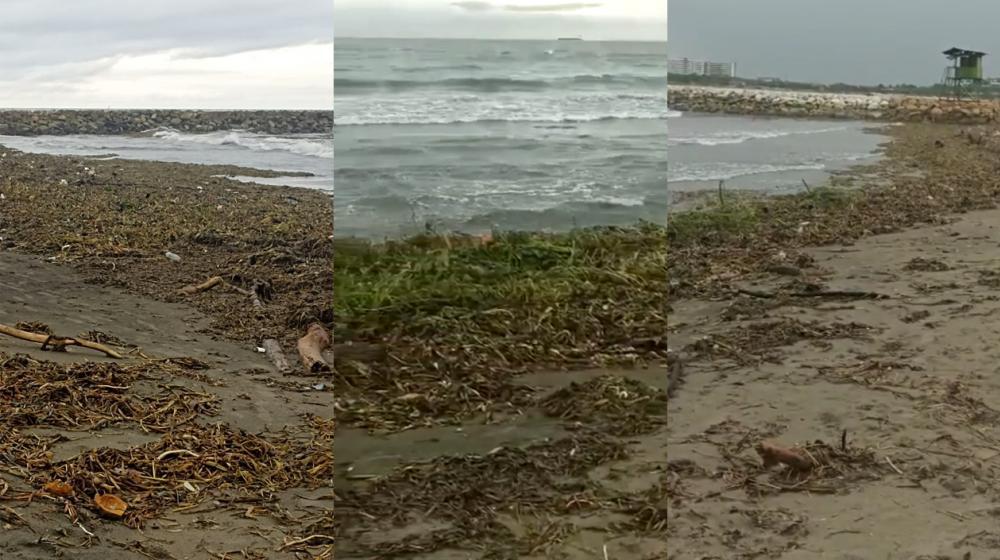 Invasión de toda clase de desechos en las playas de Puerto Colombia.
