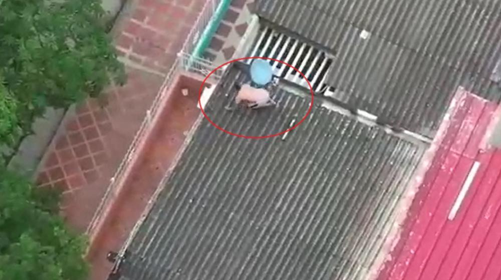 Alias 'Mopri' intenta huir por los techos de las casas.