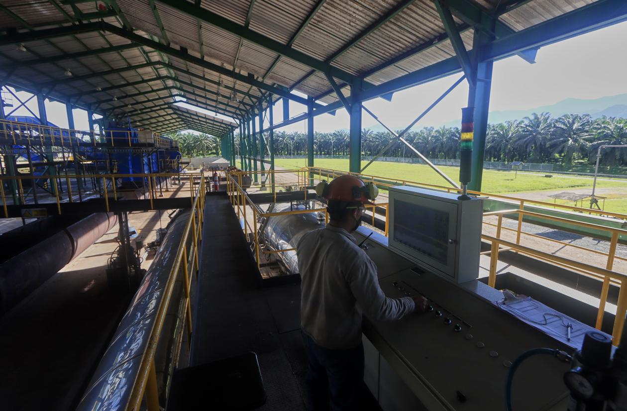 Trabajador de la empresa Palmas del Cesar.