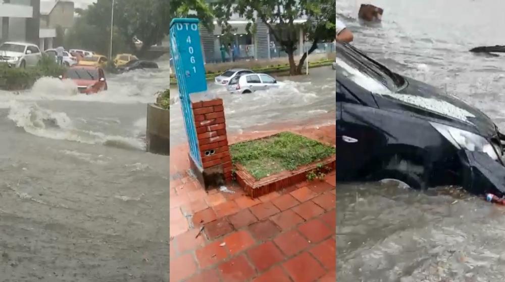 Imágenes de los vehículos.
