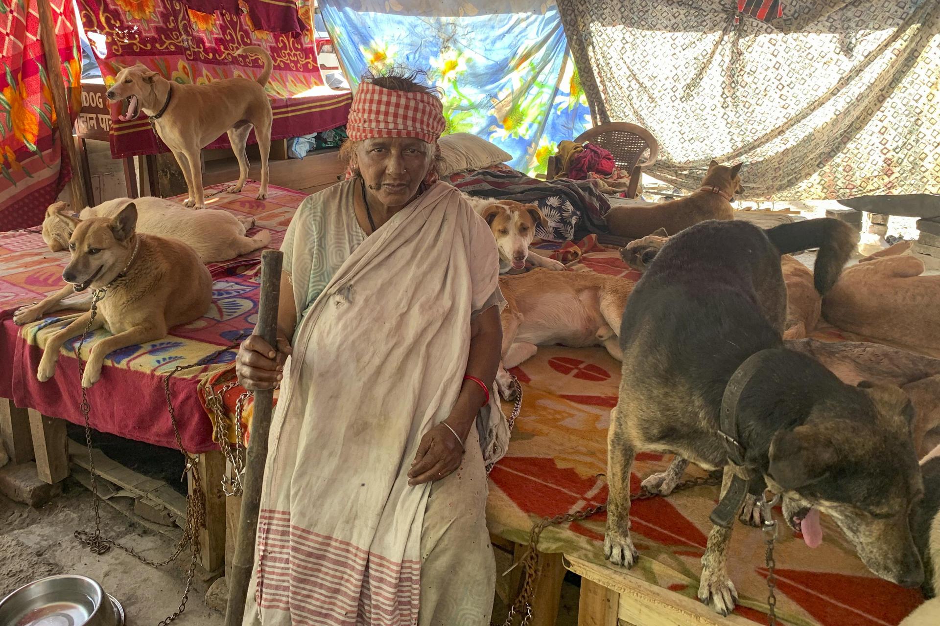 Pratima Devi, anciana también conocida como "la señora de los perros".