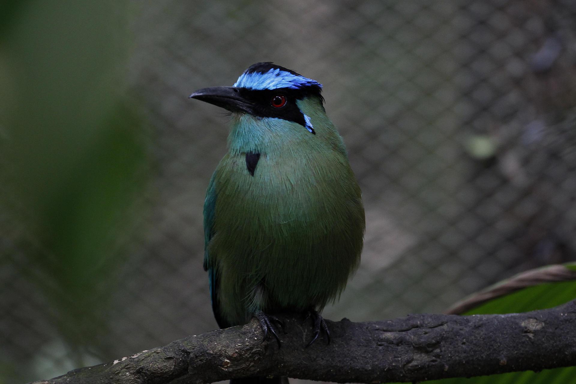 El antiguo Zoológico Santa Fe, ahora es conocido como el Parque de la Conservación.