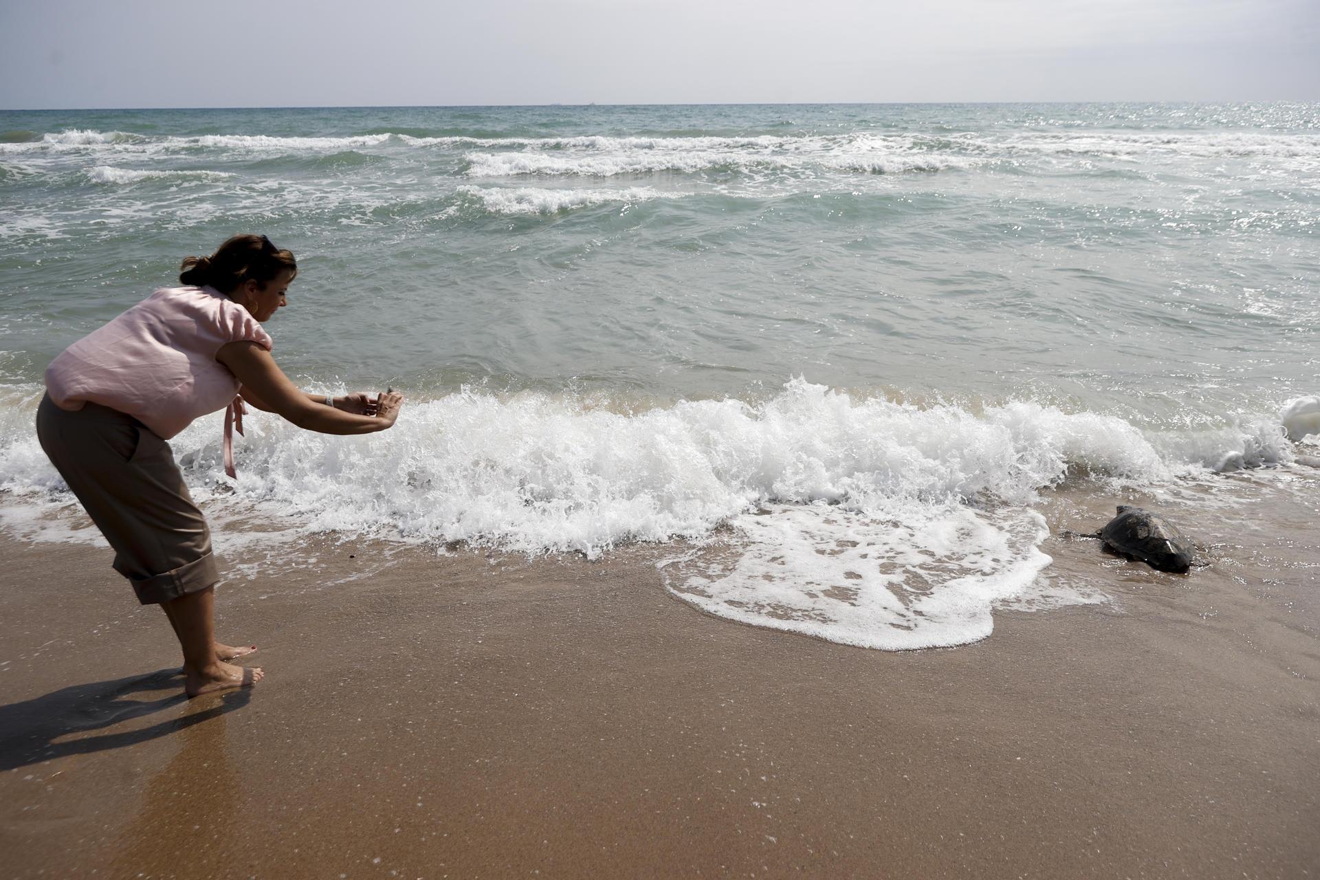 Sueltan tortuga marina en la playa del Parador.
