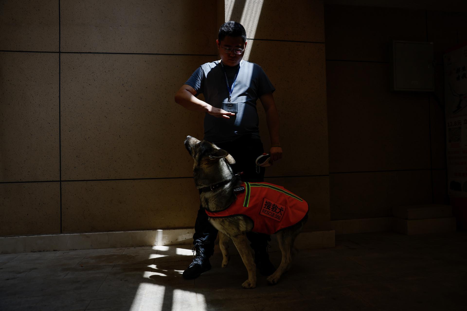 Detectives que buscan mascotas extraviadas.