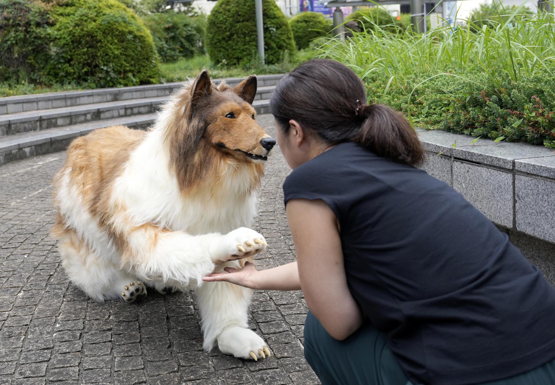 El hombre disfrazado de perro.