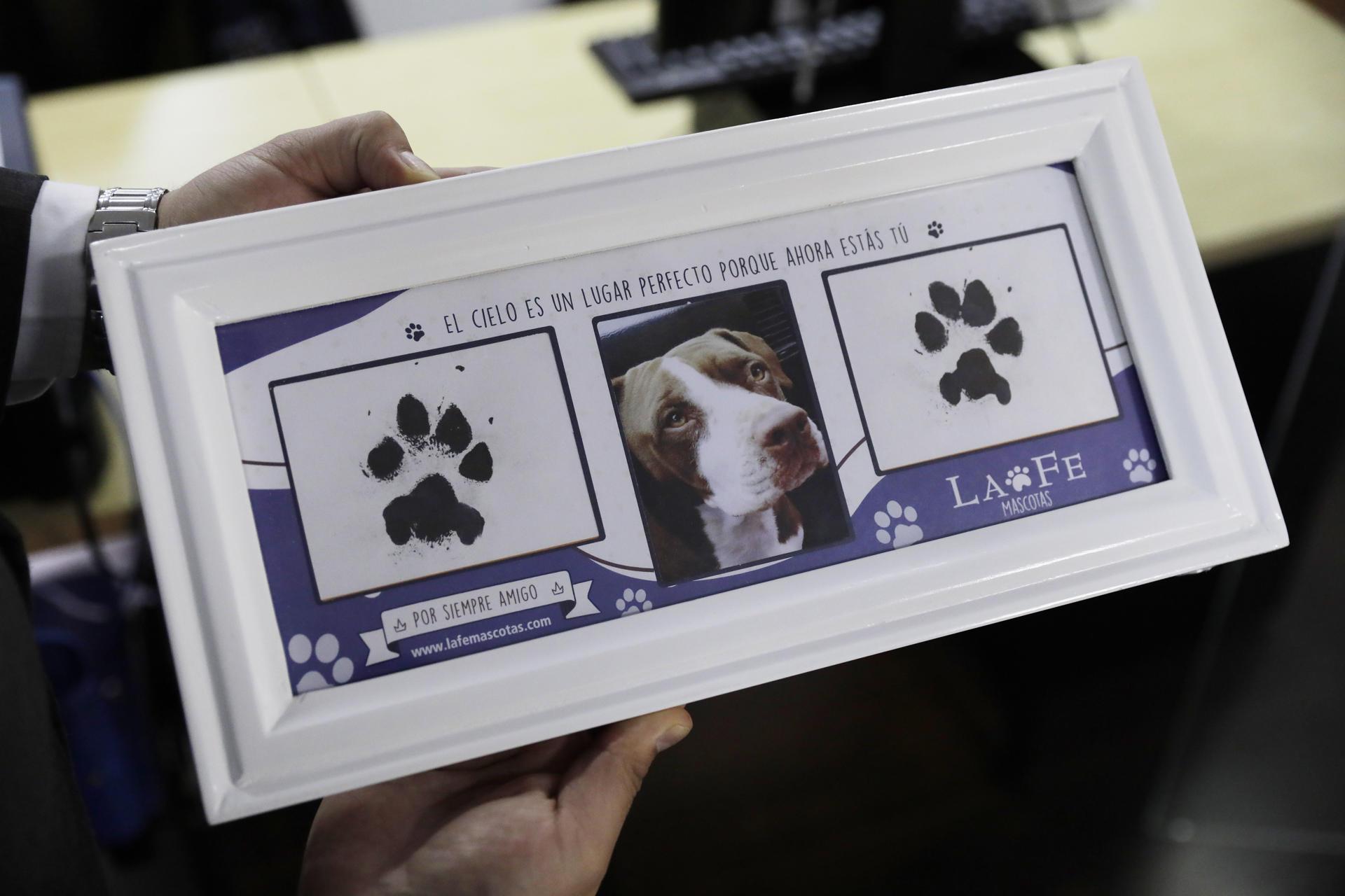 Cementerio de mascotas.