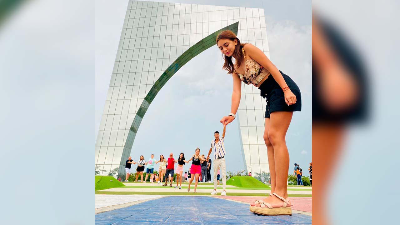 Al reino de la creatividad