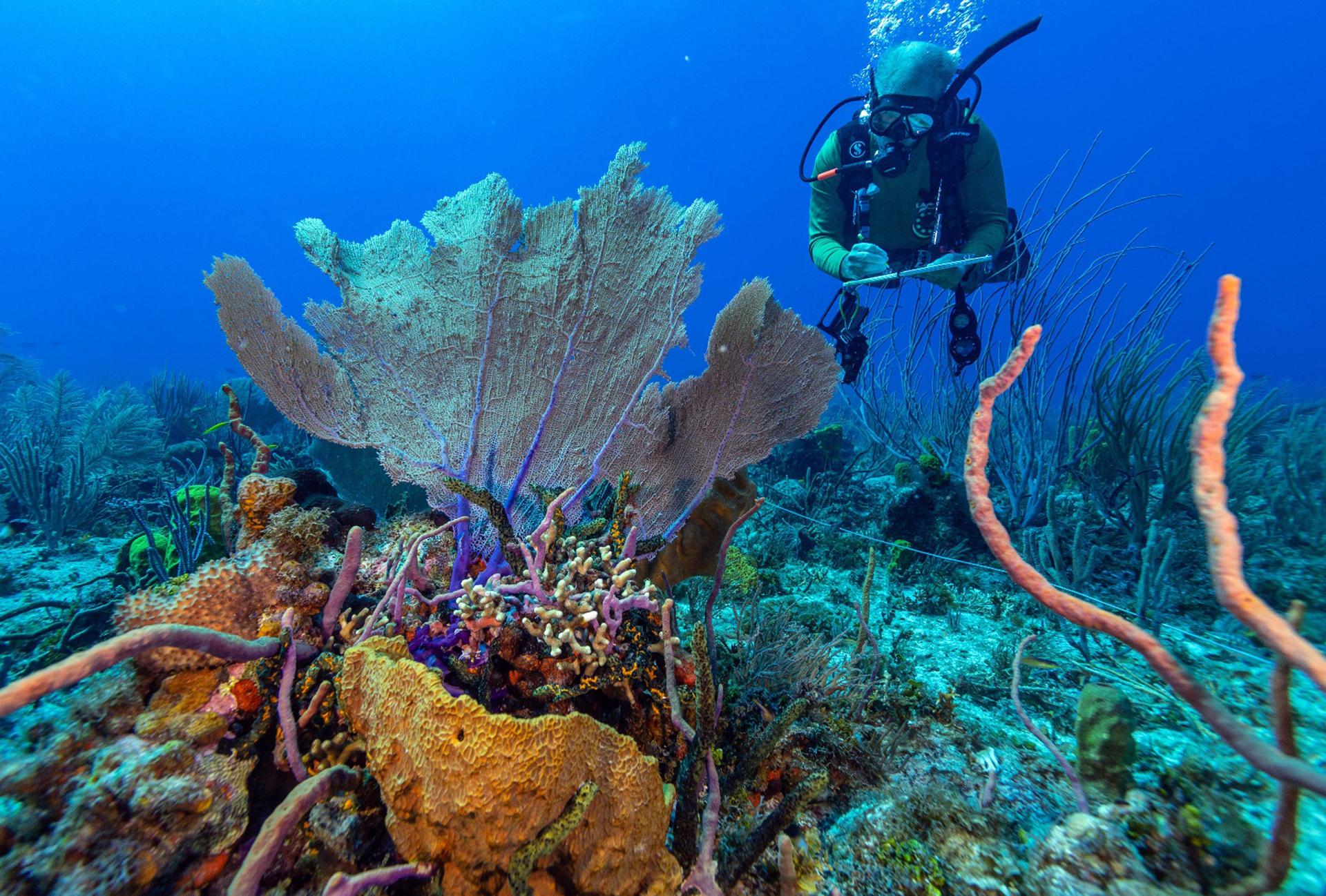 Buzo en una Playa del Chocó.