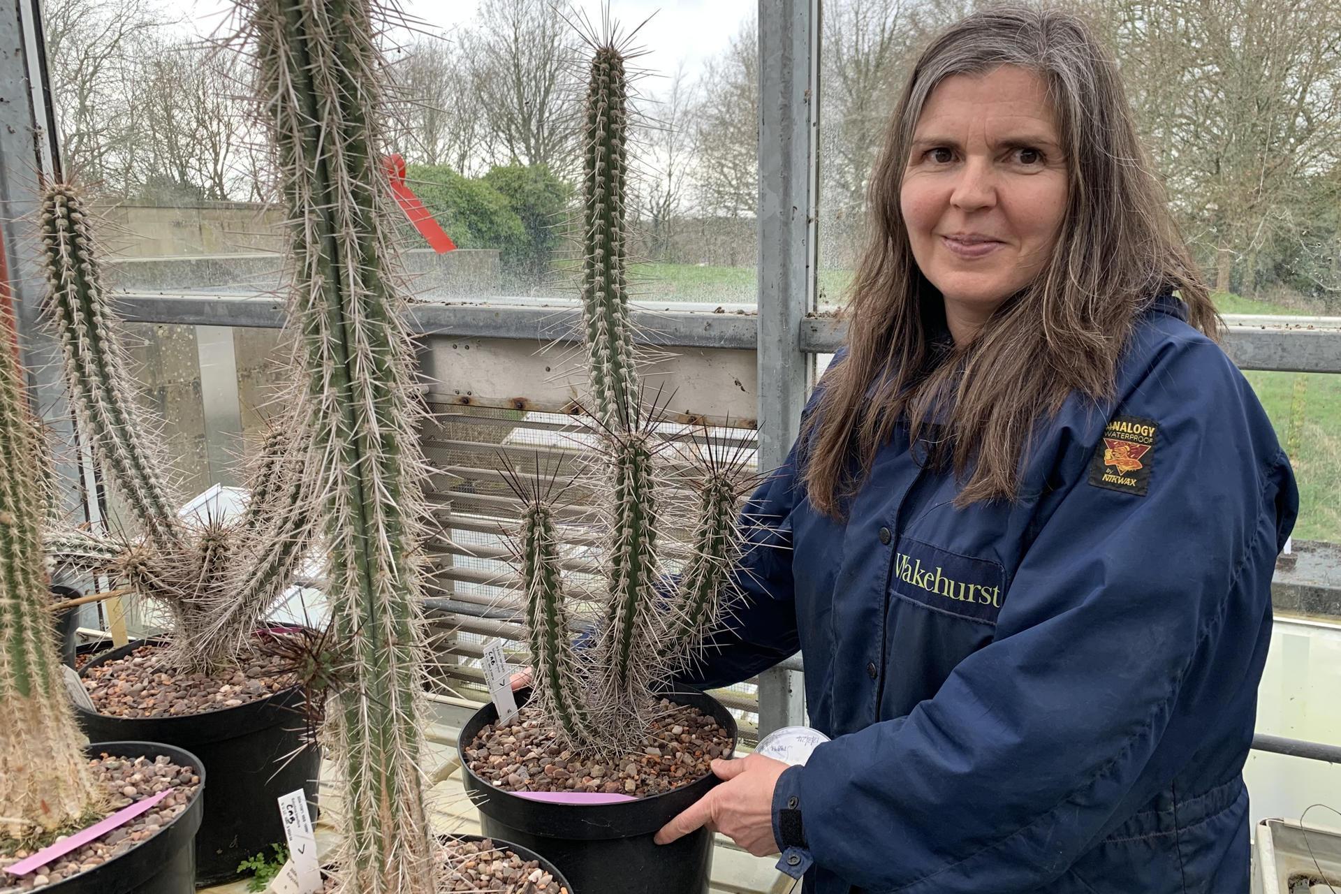 El banco de semillas se encuentra en Inglaterra.