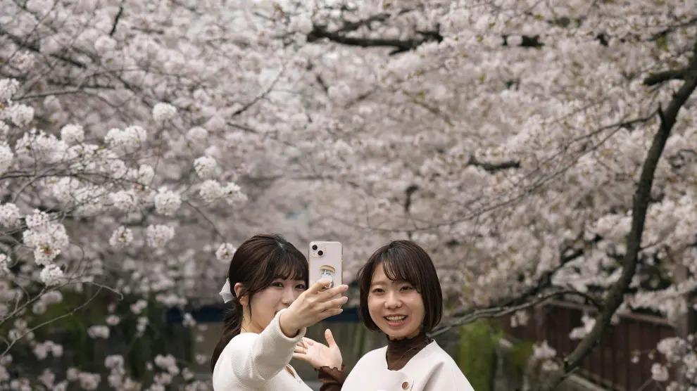 La floración comenzó en febrero.