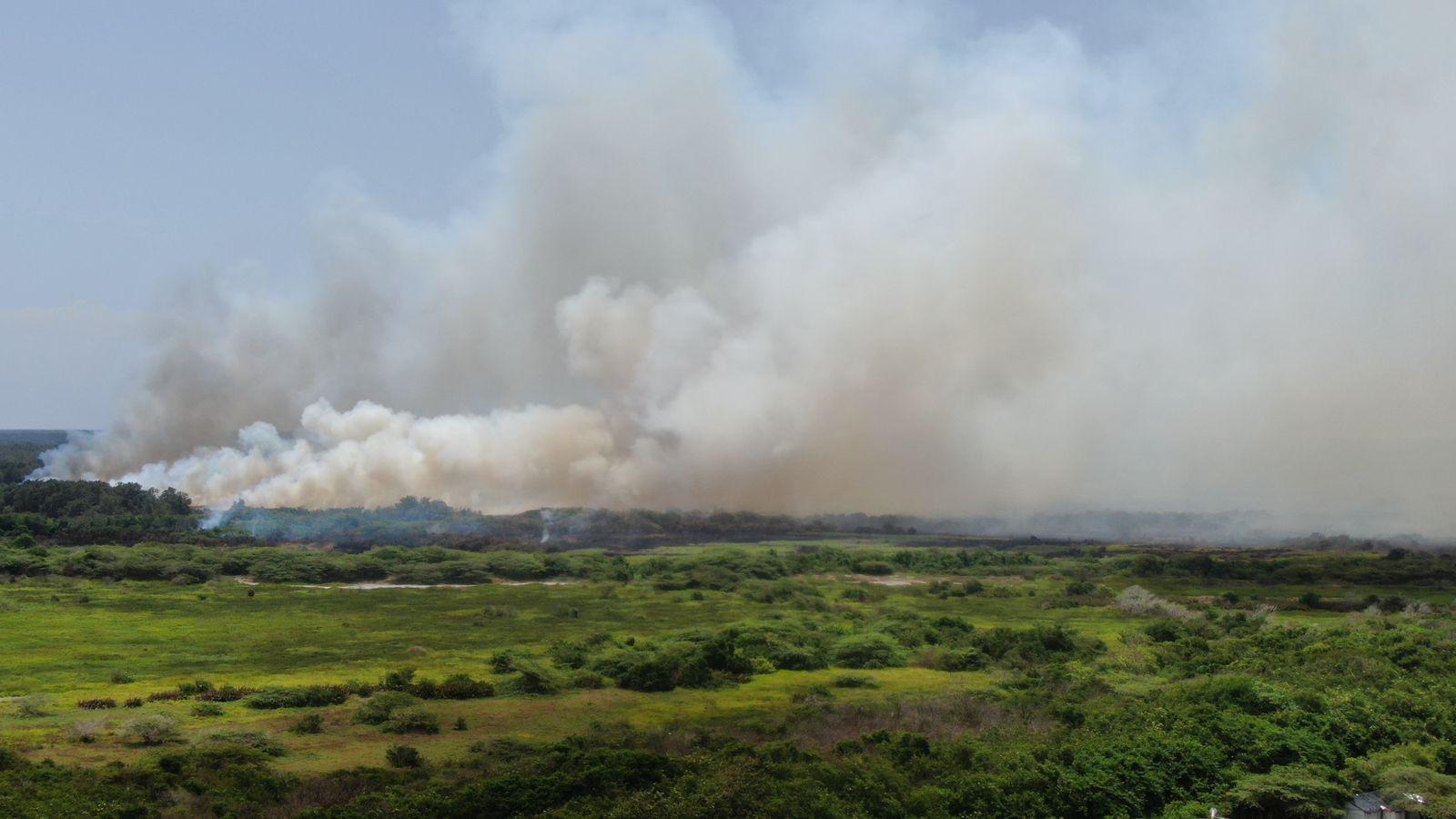 Este es el panorama en el Parque Isla Salamanca.