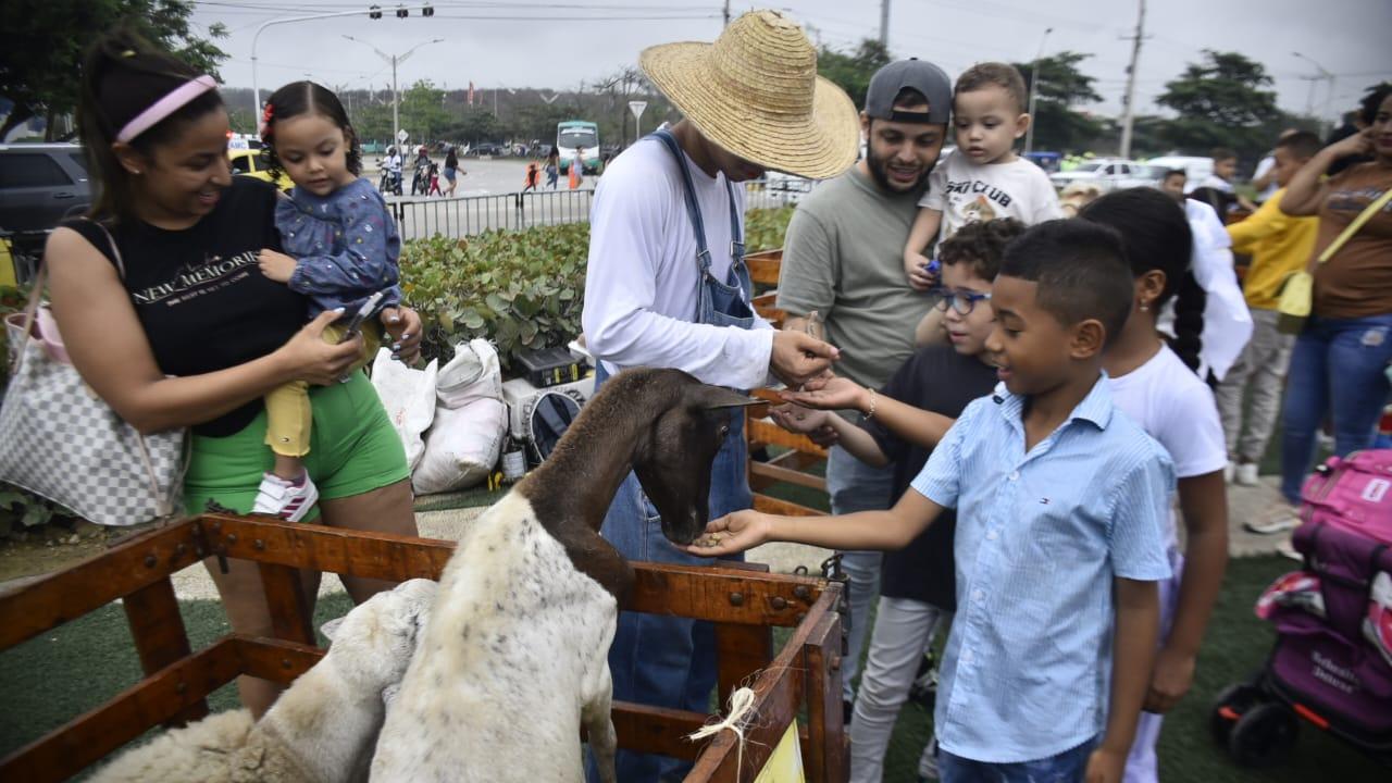 Los niños pudieron interactuar con los animales. 