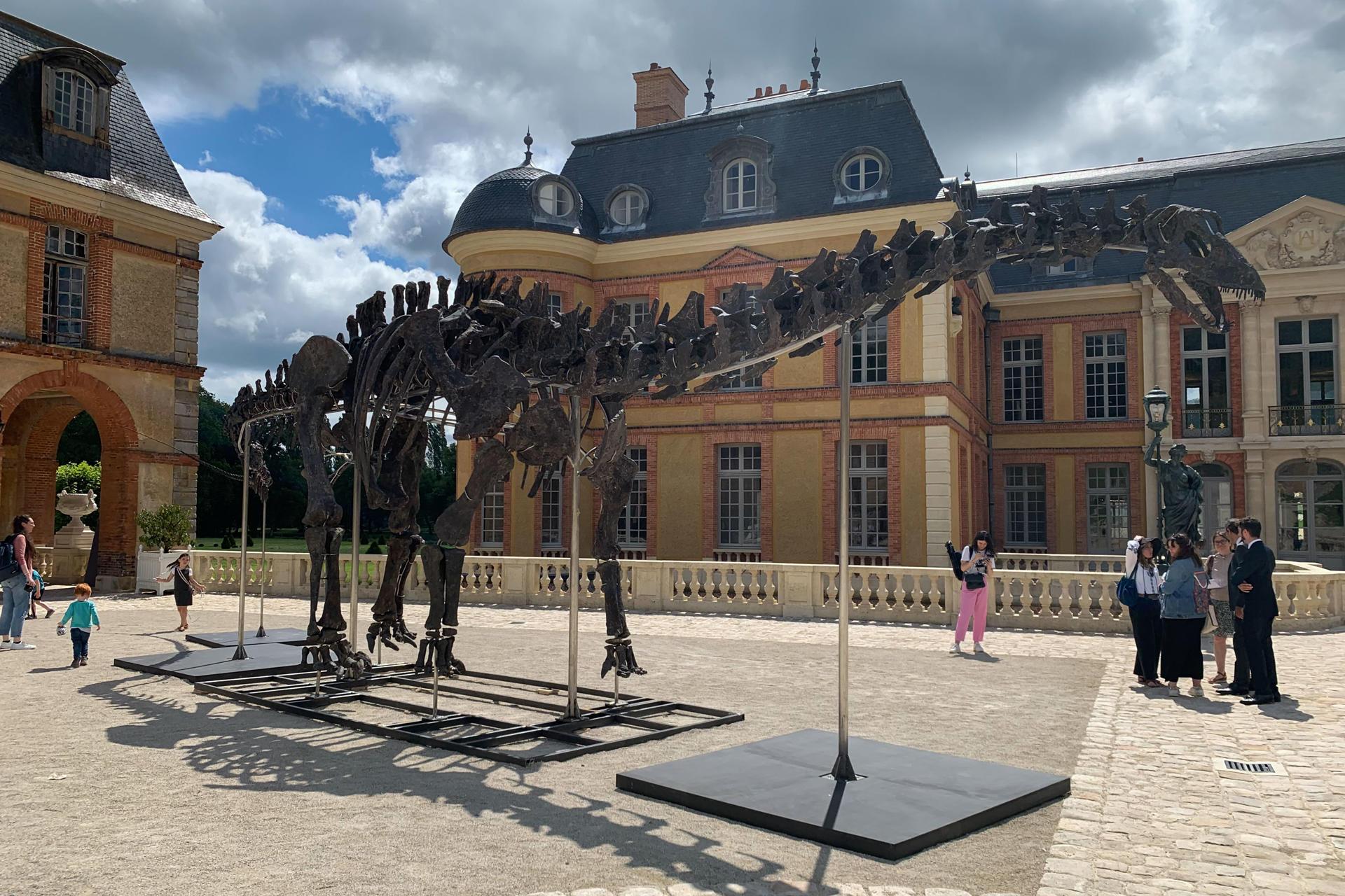 Vista del esqueleto de un Apatosaurio en el castillo de Dampierre en Dampierre-en-Yvelines, Francia.
