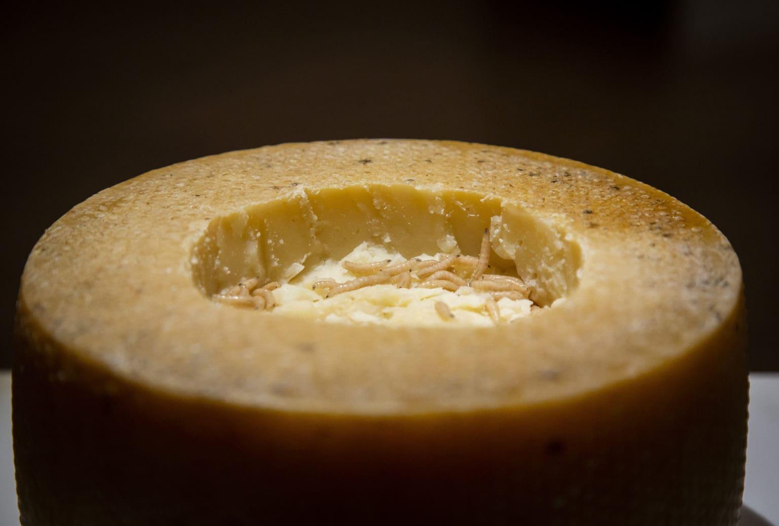Cazu Marzu, un queso Pecorino de Cerdeña con un hueco en el centro, lleno de gusanos vivos.