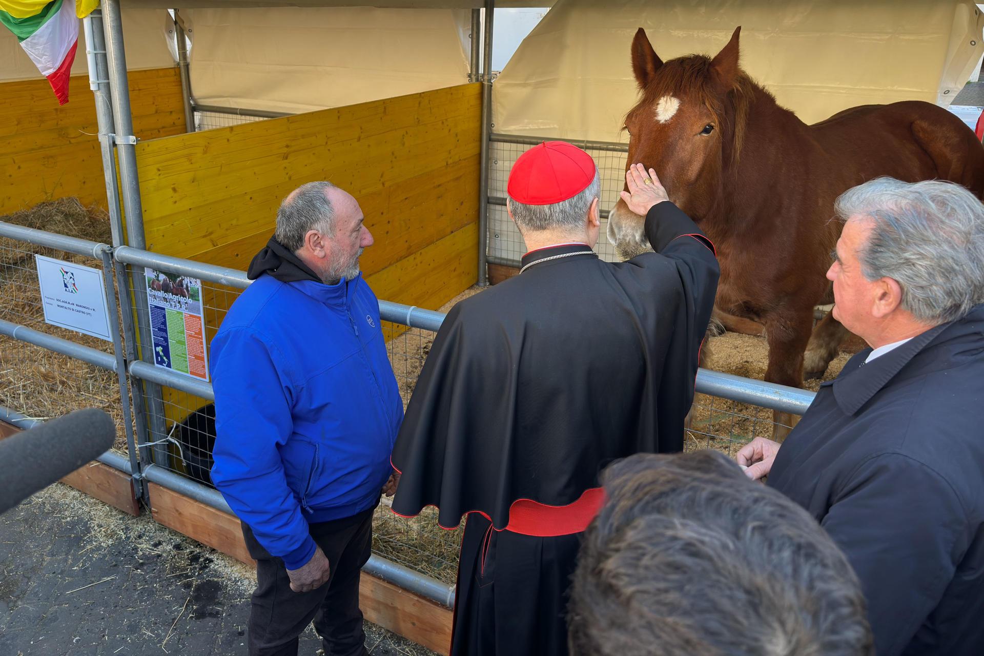 Los ganaderos italianos celebraron este viernes el día de San Antonio Abad.