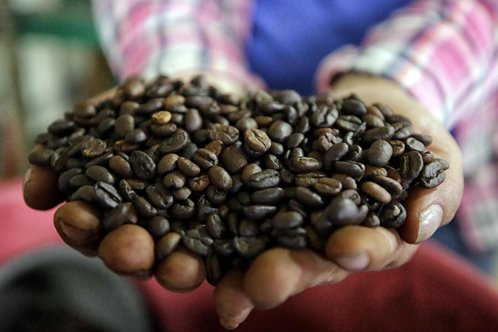 Yolanda Romero sosteniendo granos de café.