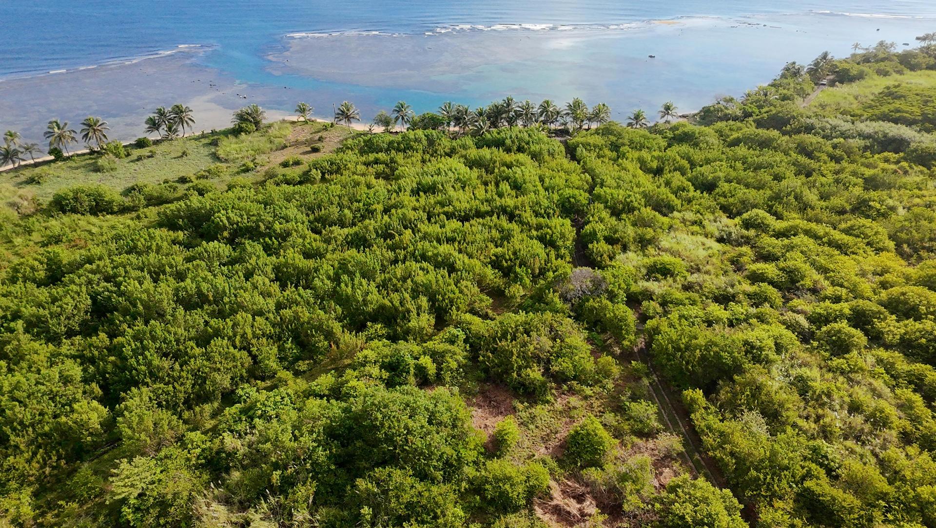 Fotografía aérea de la Isla Galeta, en Panamá.