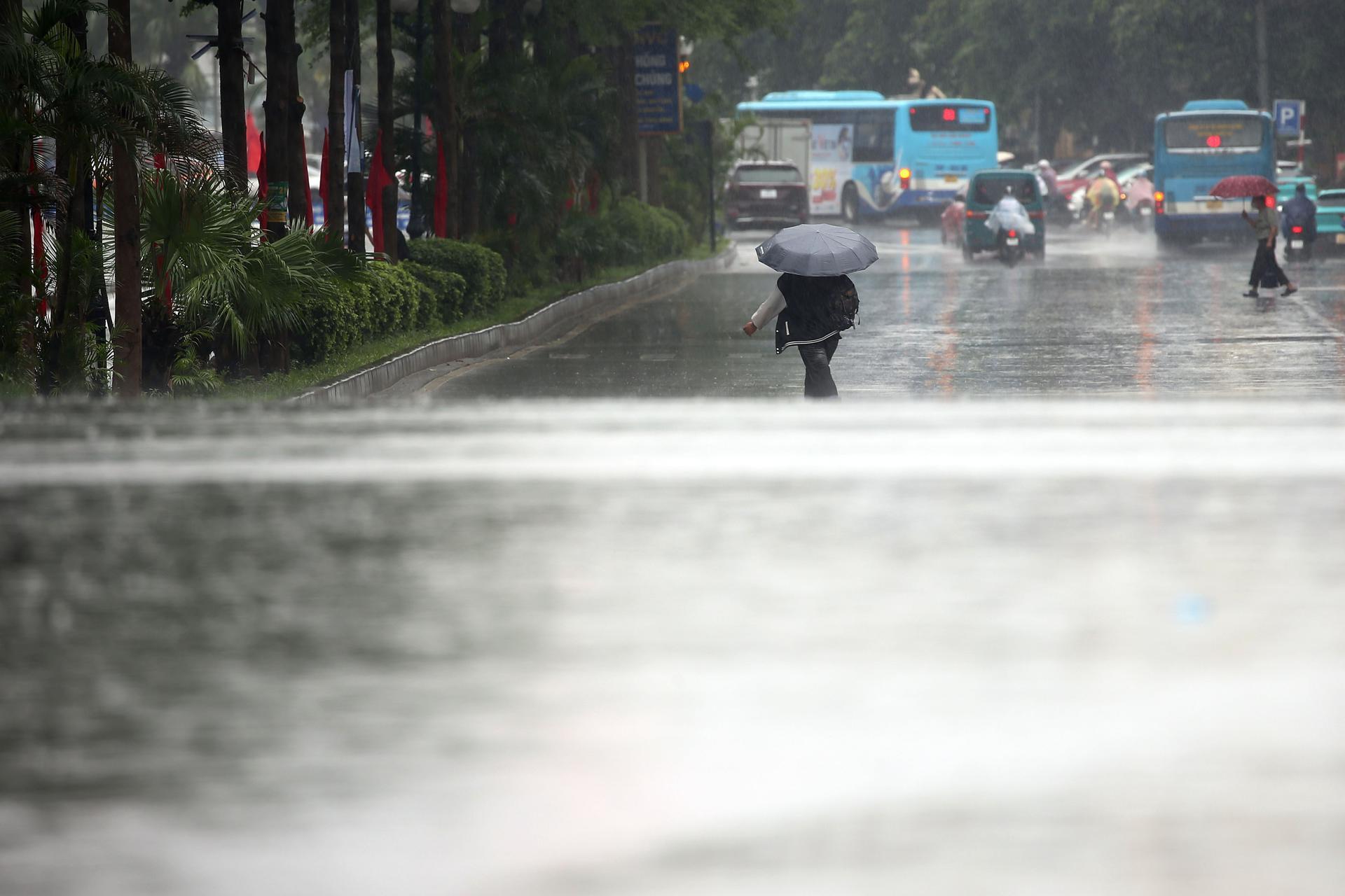 Imagen de referencia.