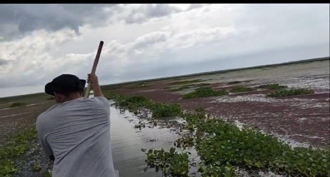A la izquierda y a la derecha plantas invasoras, en el centro un pescador abriendo camino
