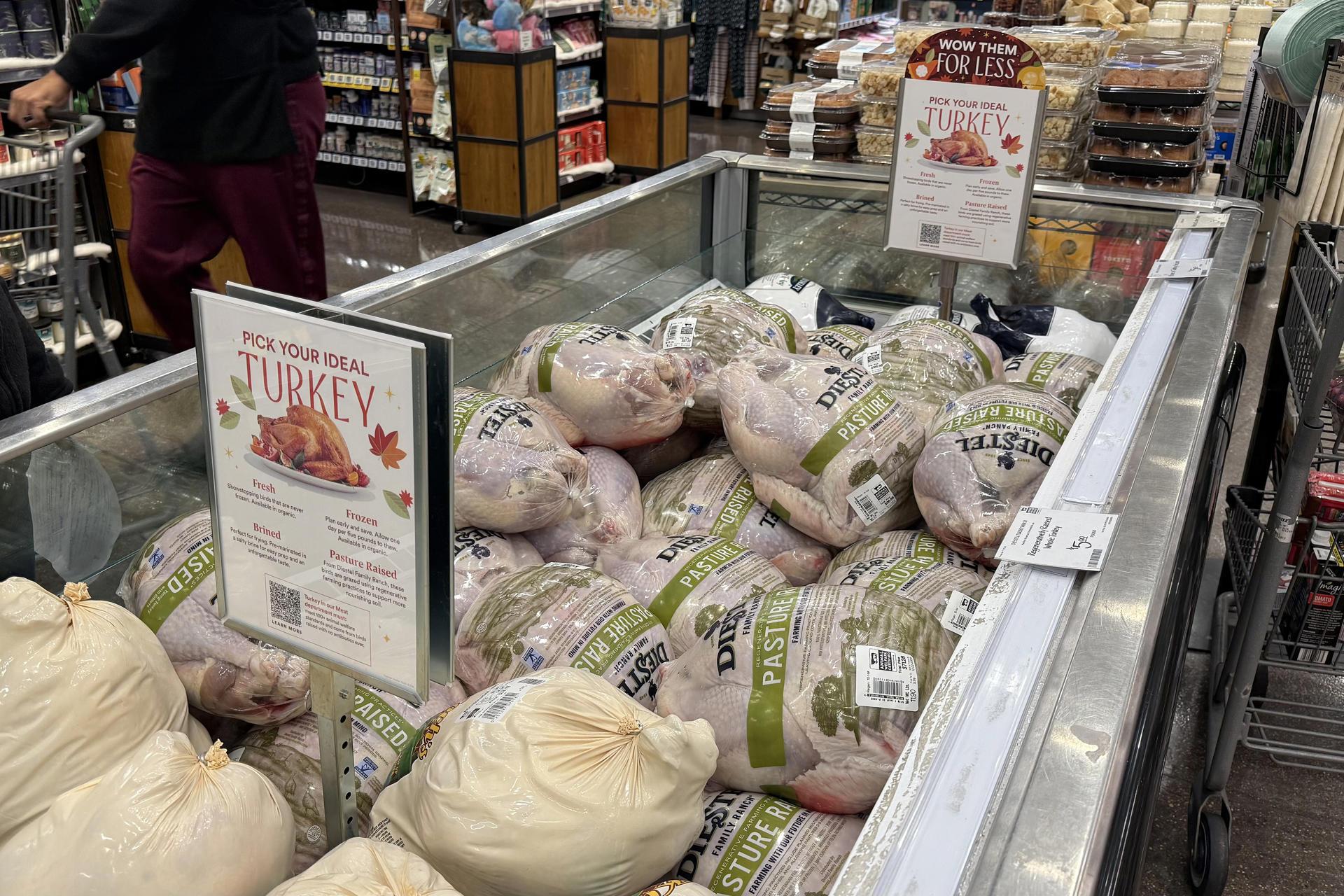 Imagen de referencia.