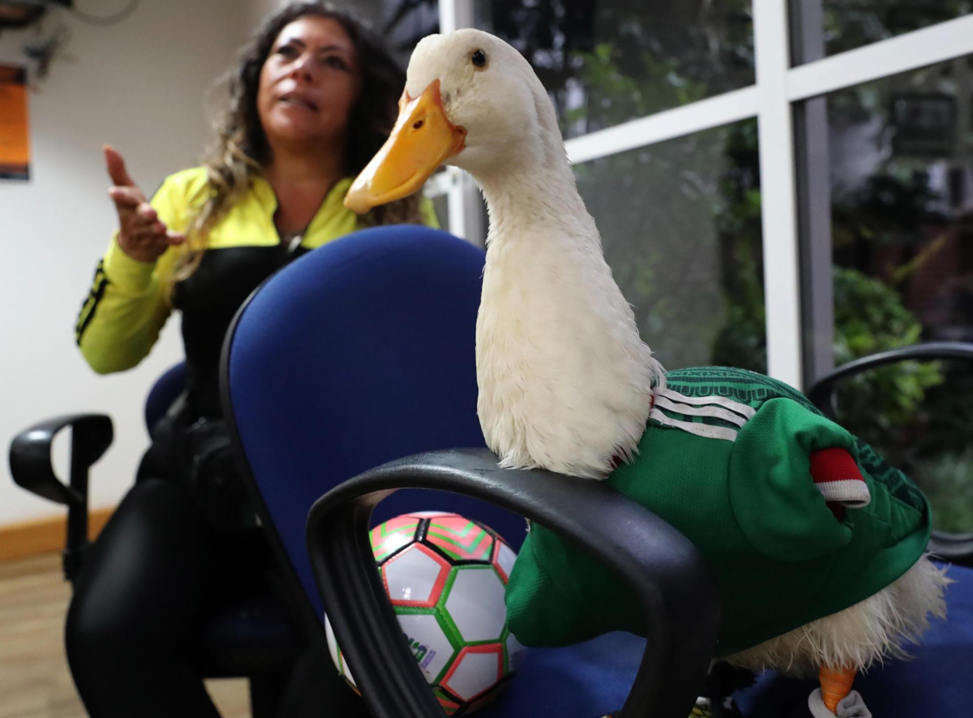 Merlín con su dueña, Karla Gómez.