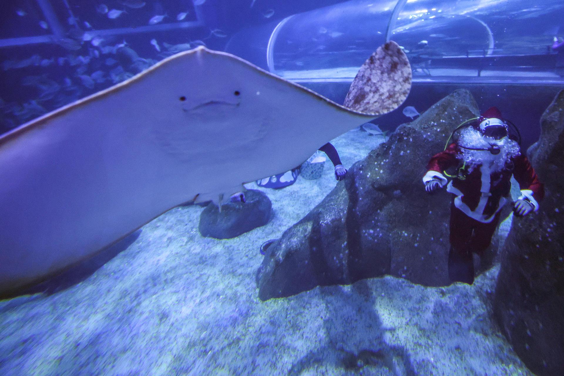 Papá Noel en el agua.