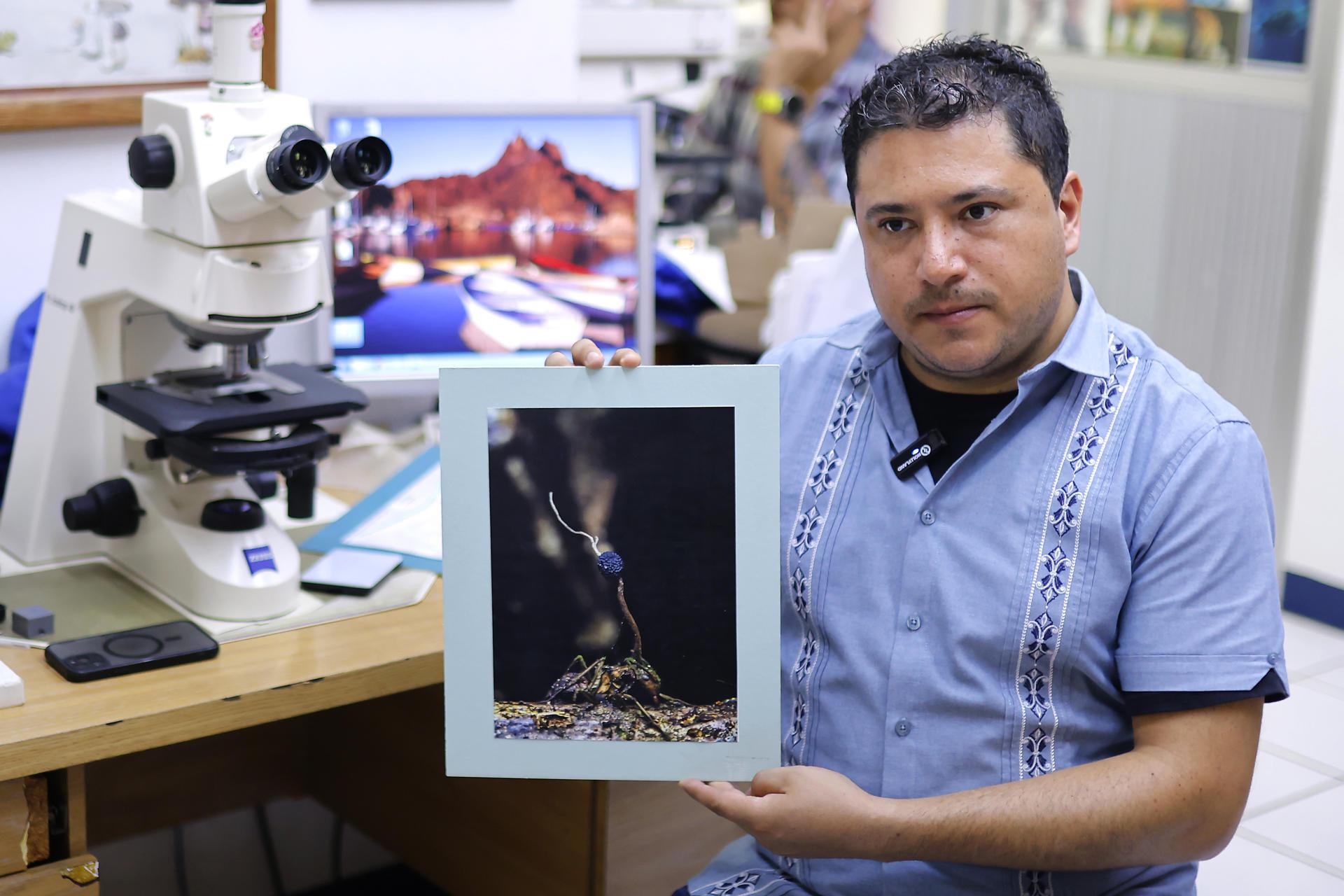 Un maestro en ciencias muestra una fotografía de una hormiga infectada.